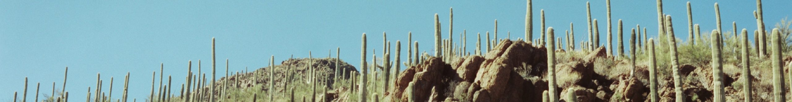 001551-r1-e009 001551-r1-e009